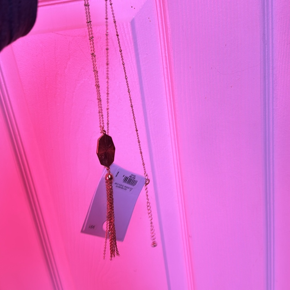 Beautiful NWT Express necklace - Picture 3 of 3